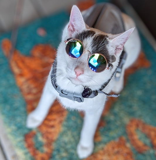 Lost Signal, Found Slinky: The Beeps That Brought Our Adventurer Home