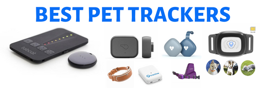 The Best Pet Trackers and GPS Collars for Cats In 2024