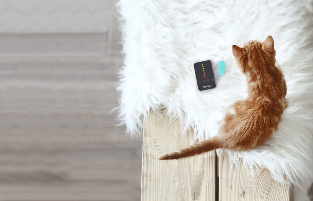 Tabcat Tracker - Up to 2 Cats